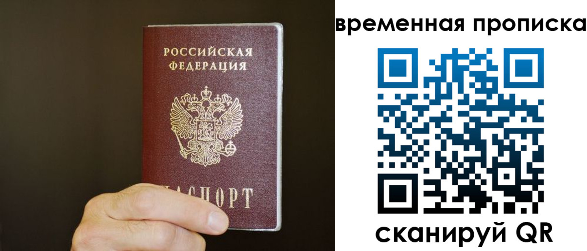 регистрация для школы в Ельне
