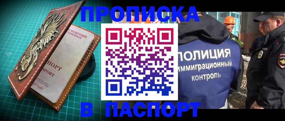 прописка в Ельне